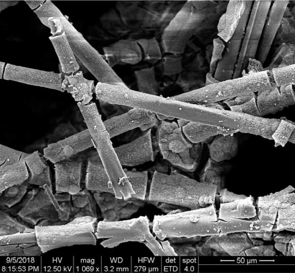 Микроструктура стеклянного волокна, подверженного сильной коррозии после эксплуатации в СФТК (увеличение 1000 крат)